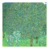 Roses Under Trees Gustav Klimt Plakat 30 X 30 Cm Billedramme -POSTERLOUNGE Salg 126111 poster l