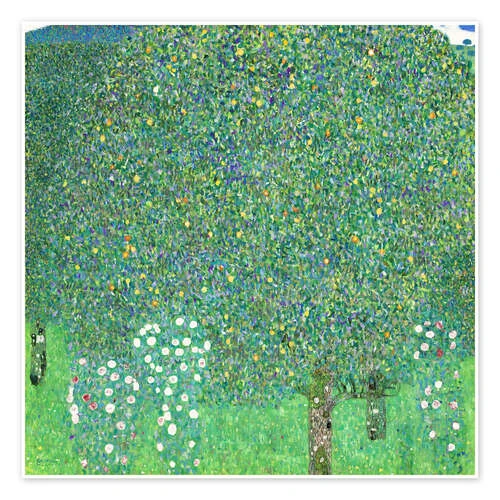 Roses Under Trees Gustav Klimt Plakat 30 X 30 Cm Billedramme 3 Roses Under Trees Gustav Klimt Plakat 30 X 30 Cm Billedramme
