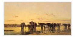 African Elephants Charles Emile De Tournemine Plakat 40 X 20 Cm Billedramme