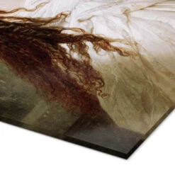 Empress Elisabeth Of Austria Franz Xaver Winterhalter Akrylbillede 20 X 30 Cm Billedramme -POSTERLOUNGE Salg 129409 acrylic glass empCorner l