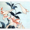 Trumpet Lilies Katsushika Hokusai Plakat 40 X 30 Cm Billedramme