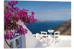 Terrace With Pink Flowers Bill Bachmann Galleritryk 30 X 20 Cm Billedramme