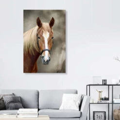 Horse WildlifePhotography Akrylbillede 20 X 30 Cm Billedramme 9 Horse WildlifePhotography Akrylbillede 20 X 30 Cm Billedramme -POSTERLOUNGE Salg 335118 acrylic glass room photography l