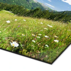 Alpine Meadow Germany Bildpics Galleritryk 30 X 20 Cm Billedramme -POSTERLOUNGE Salg 343014 gallery print empCorner l