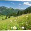 Alpine Meadow Germany Bildpics Galleritryk 30 X 20 Cm Billedramme -POSTERLOUNGE Salg 343014 gallery print l