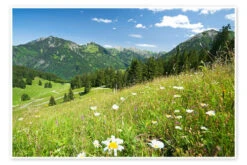 Alpine Meadow Germany Bildpics Plakat 30 X 20 Cm Billedramme