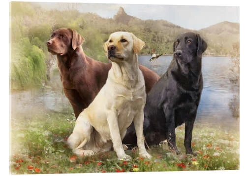 Labrador Retrievers Selina Morgan Akrylbillede 30 X 20 Cm Billedramme 3 Labrador Retrievers Selina Morgan Akrylbillede 30 X 20 Cm Billedramme