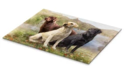 Labrador Retrievers Selina Morgan Akrylbillede 30 X 20 Cm Billedramme 7 Labrador Retrievers Selina Morgan Akrylbillede 30 X 20 Cm Billedramme -POSTERLOUNGE Salg 373685 acrylic glass pds l