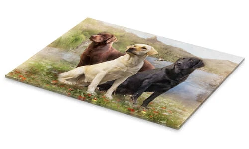 Labrador Retrievers Selina Morgan Akrylbillede 30 X 20 Cm Billedramme 4 Labrador Retrievers Selina Morgan Akrylbillede 30 X 20 Cm Billedramme - Billede 2