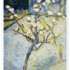 Blossoming Pear Tree Vincent Van Gogh Plakat 20 X 30 Cm Billedramme -POSTERLOUNGE Salg 397600 poster l