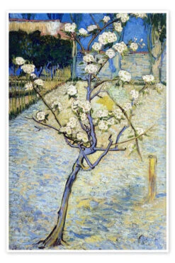 Blossoming Pear Tree Vincent Van Gogh Plakat 20 X 30 Cm Billedramme