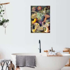 Søanemoner, Actiniae (Kunstformen Der Natur, 1899) Ernst Haeckel Plakat 30 X 40 Cm Billedramme 9 Søanemoner, Actiniae (Kunstformen Der Natur, 1899) Ernst Haeckel Plakat 30 X 40 Cm Billedramme -POSTERLOUNGE Salg 404298 poster room bathroom l