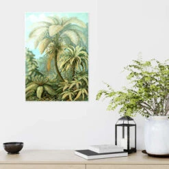 Bregner, Filicinae (Kunstformen Der Natur, 1899) Ernst Haeckel Plakat 30 X 40 Cm Billedramme -POSTERLOUNGE Salg 404476 poster room green l