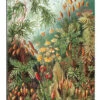 Mosser, Muscinae (Kunstformen Der Natur, 1899) Ernst Haeckel Galleritryk 20 X 30 Cm Billedramme -POSTERLOUNGE Salg 404490 gallery print l