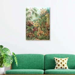 Mosser, Muscinae (Kunstformen Der Natur, 1899) Ernst Haeckel Galleritryk 20 X 30 Cm Billedramme 9 Mosser, Muscinae (Kunstformen Der Natur, 1899) Ernst Haeckel Galleritryk 20 X 30 Cm Billedramme -POSTERLOUNGE Salg 404490 gallery print room green l