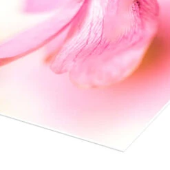 Delicate Spring Bob Daalder Plakat 30 X 30 Cm Billedramme -POSTERLOUNGE Salg 404690 poster empCorner l