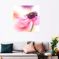 Delicate Spring Bob Daalder Plakat 30 X 30 Cm Billedramme -POSTERLOUNGE Salg 404690 poster room flowers l