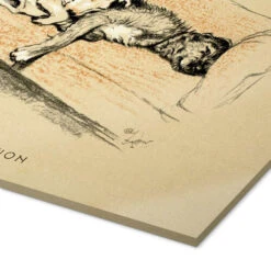 Toleration Cecil Charles Windsor Aldin Akrylbillede 30 X 20 Cm Billedramme 8 Toleration Cecil Charles Windsor Aldin Akrylbillede 30 X 20 Cm Billedramme -POSTERLOUNGE Salg 416642 acrylic glass empCorner l