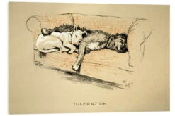 Toleration Cecil Charles Windsor Aldin Akrylbillede 30 X 20 Cm Billedramme