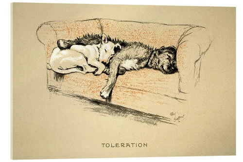 Toleration Cecil Charles Windsor Aldin Akrylbillede 30 X 20 Cm Billedramme 3 Toleration Cecil Charles Windsor Aldin Akrylbillede 30 X 20 Cm Billedramme