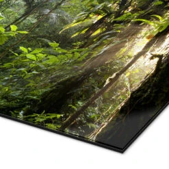 Jungle Light Peter Schickert Galleritryk 30 X 20 Cm Billedramme -POSTERLOUNGE Salg 422709 gallery print empCorner l