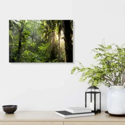 Jungle Light Peter Schickert Galleritryk 30 X 20 Cm Billedramme -POSTERLOUNGE Salg 422709 gallery print room green l