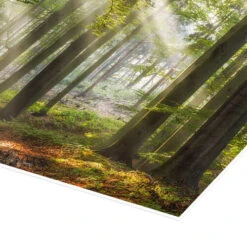 Tid Til Afslapning Moqui, Daniela Beyer Plakat 30 X 20 Cm Billedramme 8 Tid Til Afslapning Moqui, Daniela Beyer Plakat 30 X 20 Cm Billedramme -POSTERLOUNGE Salg 499634 poster empCorner l