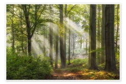 Tid Til Afslapning Moqui, Daniela Beyer Plakat 30 X 20 Cm Billedramme