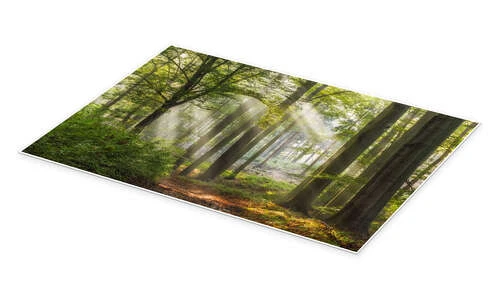 Tid Til Afslapning Moqui, Daniela Beyer Plakat 30 X 20 Cm Billedramme 4 Tid Til Afslapning Moqui, Daniela Beyer Plakat 30 X 20 Cm Billedramme - Billede 2