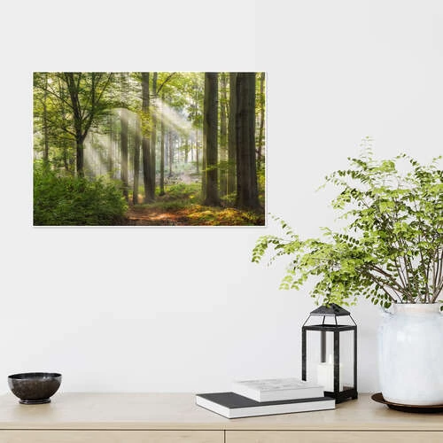 Tid Til Afslapning Moqui, Daniela Beyer Plakat 30 X 20 Cm Billedramme 6 Tid Til Afslapning Moqui, Daniela Beyer Plakat 30 X 20 Cm Billedramme - Billede 4