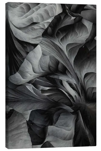 Tartaric Acid Silvia Becker Lærredsbillede 20 X 30 Cm Billedramme 3 Tartaric Acid Silvia Becker Lærredsbillede 20 X 30 Cm Billedramme