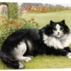 Rest In The Garden Louis Wain Galleritryk 30 X 20 Cm Billedramme -POSTERLOUNGE Salg 535440 gallery print l