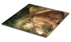 Stackars Lilla Basse! John Bauer Galleritryk 30 X 30 Cm Billedramme -POSTERLOUNGE Salg 540142 gallery print pds l