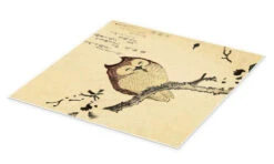 Owl On A Flowering Magnolia Branch Kubota Shunman Plakat 30 X 30 Cm Billedramme -POSTERLOUNGE Salg 556304 poster pds l