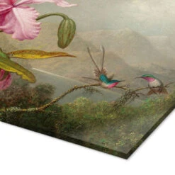 Cattleya Orchid And Three Hummingbirds Martin Johnson Heade Akrylbillede 30 X 20 Cm Billedramme -POSTERLOUNGE Salg 584034 acrylic glass empCorner l