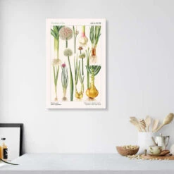 Onions And Other Vegetables Elizabeth Rice Galleritryk 20 X 30 Cm Billedramme -POSTERLOUNGE Salg 588594 gallery print room kitchen l