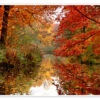 Autumn Atteloi Plakat 30 X 20 Cm Billedramme -POSTERLOUNGE Salg 592920 poster l
