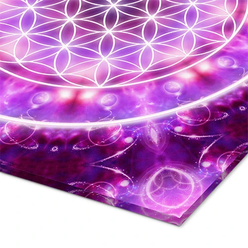 Livets Blomst - Transformation Dolphins DreamDesign Akrylbillede 30 X 30 Cm Billedramme 5 Livets Blomst - Transformation Dolphins DreamDesign Akrylbillede 30 X 30 Cm Billedramme - Billede 3