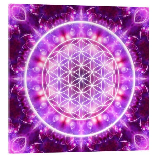 Livets Blomst - Transformation Dolphins DreamDesign Akrylbillede 30 X 30 Cm Billedramme 3 Livets Blomst - Transformation Dolphins DreamDesign Akrylbillede 30 X 30 Cm Billedramme