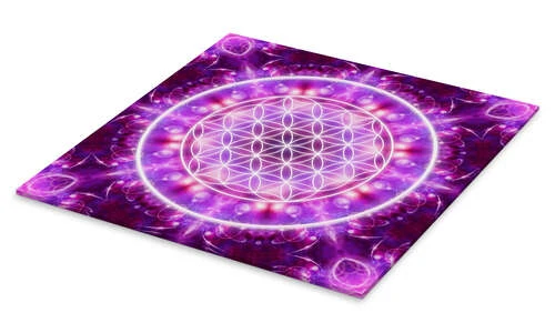 Livets Blomst - Transformation Dolphins DreamDesign Akrylbillede 30 X 30 Cm Billedramme 4 Livets Blomst - Transformation Dolphins DreamDesign Akrylbillede 30 X 30 Cm Billedramme - Billede 2