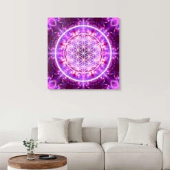 Livets Blomst - Transformation Dolphins DreamDesign Akrylbillede 30 X 30 Cm Billedramme 9 Livets Blomst - Transformation Dolphins DreamDesign Akrylbillede 30 X 30 Cm Billedramme -POSTERLOUNGE Salg 594490 acrylic glass room purple l