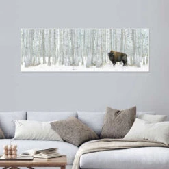 Buffalo Standing In Snow Among Poplar Trees Richard Wear Plakat 60 X 20 Cm Billedramme 9 Buffalo Standing In Snow Among Poplar Trees Richard Wear Plakat 60 X 20 Cm Billedramme -POSTERLOUNGE Salg 597714 poster room panorama l