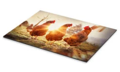 Høns På Catwalk Gabi Stickler Galleritryk 30 X 20 Cm Billedramme 7 Høns På Catwalk Gabi Stickler Galleritryk 30 X 20 Cm Billedramme -POSTERLOUNGE Salg 606733 gallery print pds l