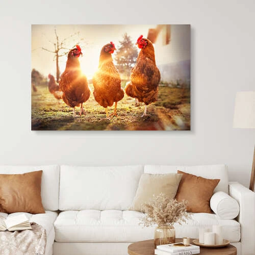 Høns På Catwalk Gabi Stickler Galleritryk 30 X 20 Cm Billedramme 6 Høns På Catwalk Gabi Stickler Galleritryk 30 X 20 Cm Billedramme - Billede 4