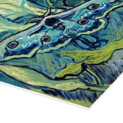 Death's Head Moth Vincent Van Gogh Plakat 30 X 40 Cm Billedramme -POSTERLOUNGE Salg 607250 poster empCorner l