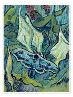Death's Head Moth Vincent Van Gogh Plakat 30 X 40 Cm Billedramme
