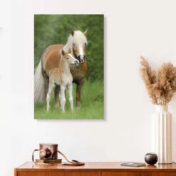 Haflinger Føl Med Mor Katho Menden Akrylbillede 20 X 30 Cm Billedramme 9 Haflinger Føl Med Mor Katho Menden Akrylbillede 20 X 30 Cm Billedramme -POSTERLOUNGE Salg 607348 acrylic glass room photography l