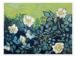 Wild Roses Vincent Van Gogh Plakat 40 X 30 Cm Billedramme