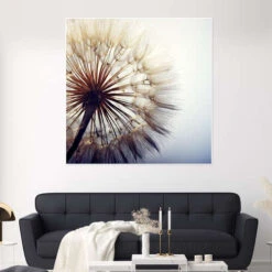 Stor Mælkebøtte Plakat 30 X 30 Cm Billedramme -POSTERLOUNGE Salg 614295 poster room square l