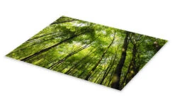 Forår I Skoven Plakat 40 X 30 Cm Billedramme -POSTERLOUNGE Salg 615382 poster pds l